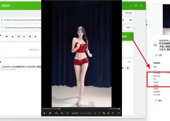 视频时间伪装大师 V0.1.0
